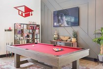 Billiards table & media lounge in clubhouse